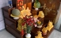 THI CÔNG COFFE SHOP SƠN TRANG - Đ.QUANG TRUNG GÒ VẤP